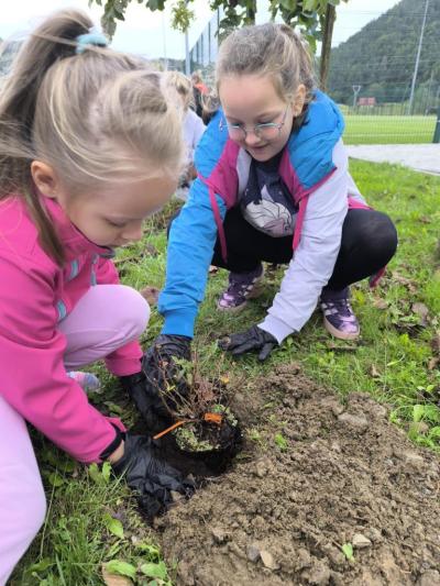 Malopolska Pszczoła (11).JPG