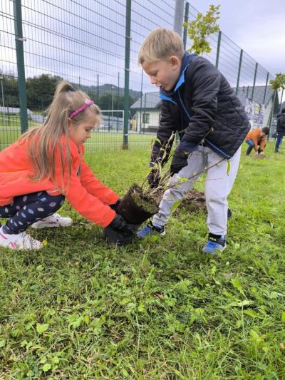 Malopolska Pszczoła (2).JPG