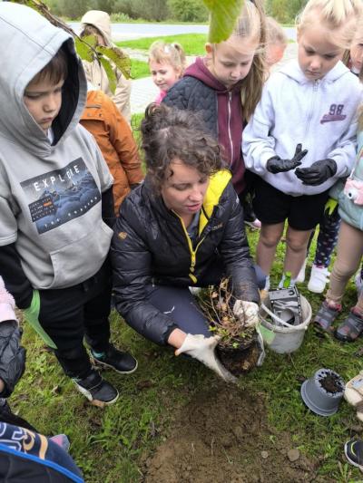 Malopolska Pszczoła (4).JPG