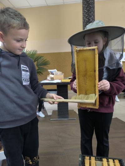 Malopolska Pszczoła (8).JPG