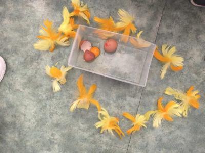 Stop przemocy 2 (38).JPG