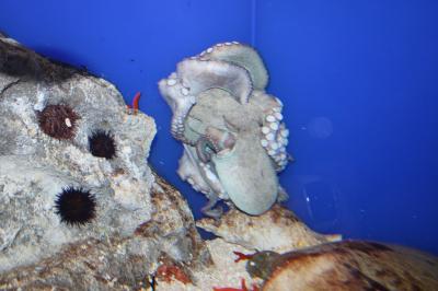 IMG_6791.JPG