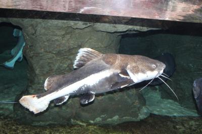 IMG_6802.JPG