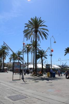 IMG_6805.JPG