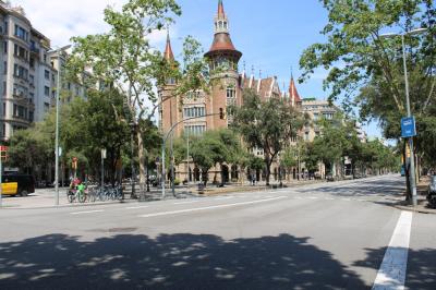 IMG_6919.JPG