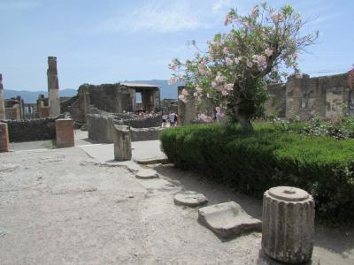 wyc_włochy (166).JPG